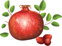 fruits & Pomegranate free transparent png image.