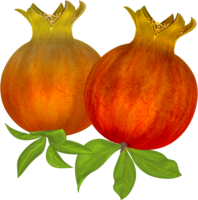 fruits & Pomegranate free transparent png image.