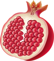 fruits & Pomegranate free transparent png image.