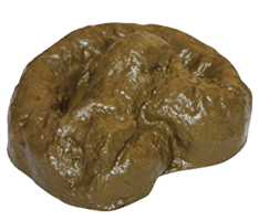 miscellaneous & poop free transparent png image.