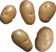 vegetables & potato free transparent png image.