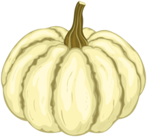 vegetables&Pumpkin png image.