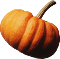 vegetables & Pumpkin free transparent png image.