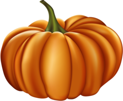 vegetables & Pumpkin free transparent png image.