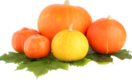 vegetables & Pumpkin free transparent png image.