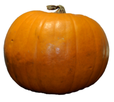 vegetables & Pumpkin free transparent png image.