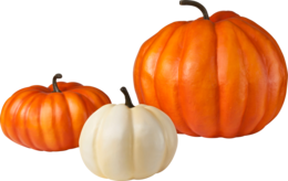 vegetables & Pumpkin free transparent png image.