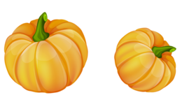 vegetables & Pumpkin free transparent png image.