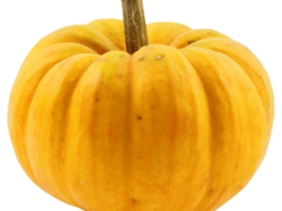 vegetables & Pumpkin free transparent png image.