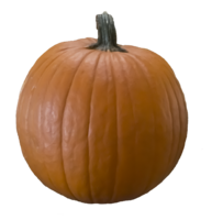 vegetables & Pumpkin free transparent png image.