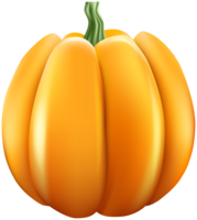 vegetables & Pumpkin free transparent png image.