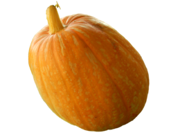 vegetables & Pumpkin free transparent png image.