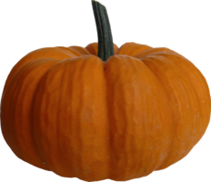 vegetables & Pumpkin free transparent png image.