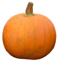 vegetables & Pumpkin free transparent png image.