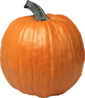 vegetables & Pumpkin free transparent png image.