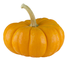 vegetables & Pumpkin free transparent png image.