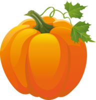 vegetables & Pumpkin free transparent png image.