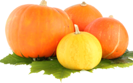 vegetables & Pumpkin free transparent png image.