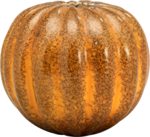 vegetables & Pumpkin free transparent png image.