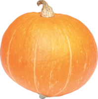 vegetables & pumpkin free transparent png image.