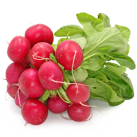 vegetables&Radish png image.