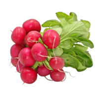 vegetables & radish free transparent png image.