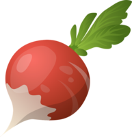 vegetables & radish free transparent png image.