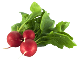 vegetables & radish free transparent png image.