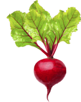 vegetables & radish free transparent png image.