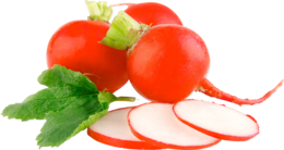 vegetables & Radish free transparent png image.