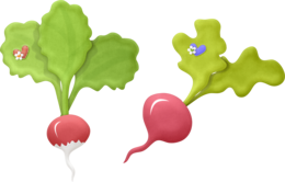 vegetables & radish free transparent png image.