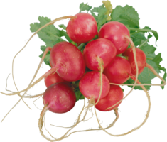 vegetables & radish free transparent png image.