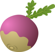 vegetables & radish free transparent png image.