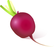 vegetables & radish free transparent png image.