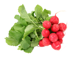 vegetables & radish free transparent png image.