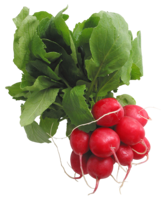 vegetables & radish free transparent png image.