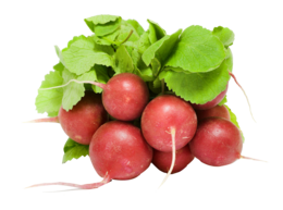 vegetables & radish free transparent png image.