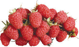 fruits & Raspberry free transparent png image.