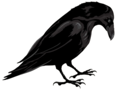 animals & raven free transparent png image.