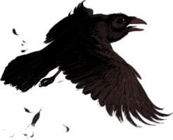 animals & Raven free transparent png image.