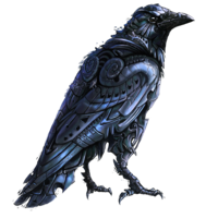 animals & raven free transparent png image.