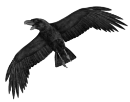 animals & Raven free transparent png image.