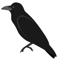 animals & Raven free transparent png image.