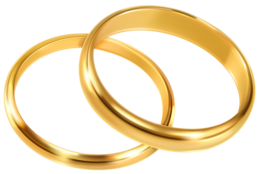 jewelry & Ring free transparent png image.