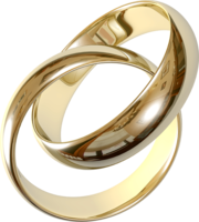 jewelry & Ring free transparent png image.