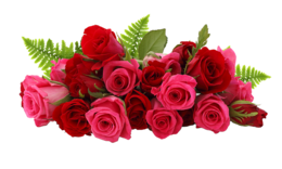 flowers & rose free transparent png image.