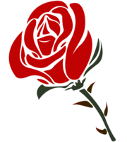 flowers & rose free transparent png image.