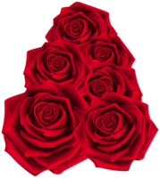 flowers & Rose free transparent png image.