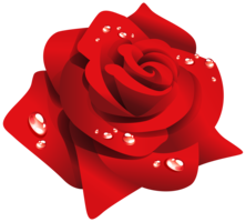 flowers & Rose free transparent png image.