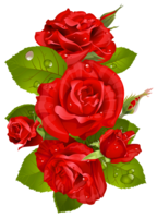 flowers & rose free transparent png image.